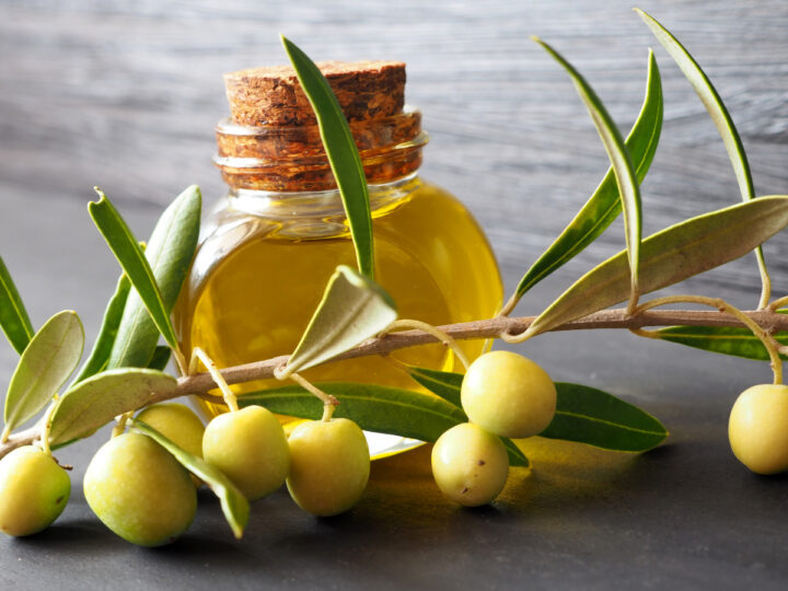 Olive branch with olives, bottled oil