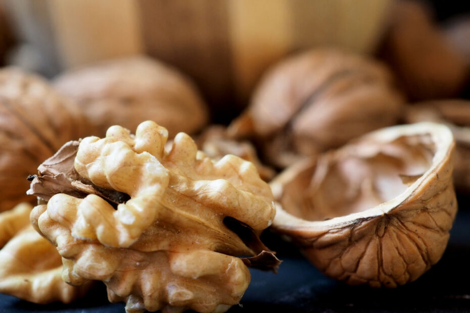 closeup-of-a-walnut-kernel-304