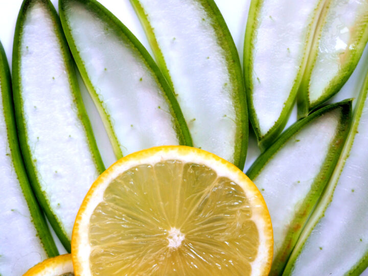 Slices of lemon and aloe vera