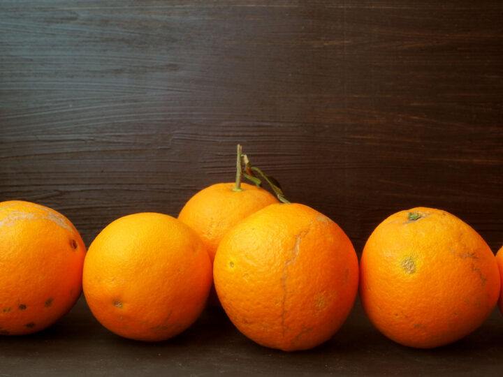 Oranges fraîchement cueillies