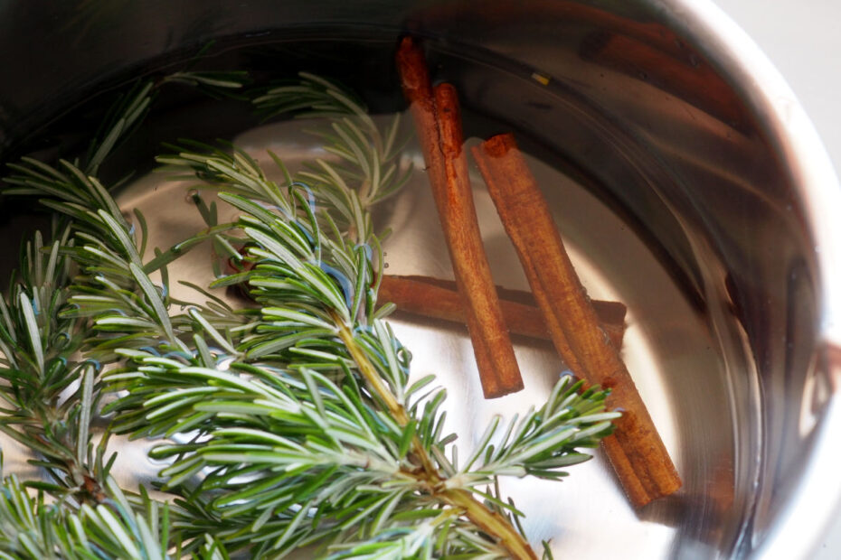 rosemary-sprigs-and-cinnamon-sticks-in-water-641