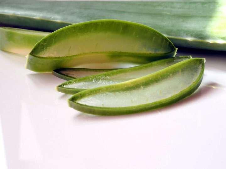 Aloe Vera leaf and slices